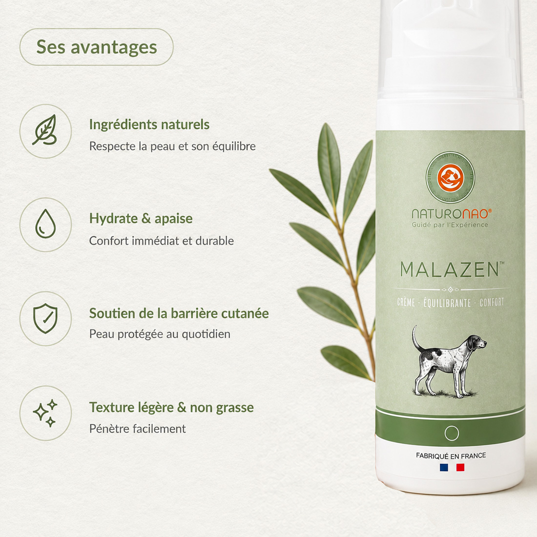 ALOPÉA™ Modéré - Usage alopécie canine – Image 2